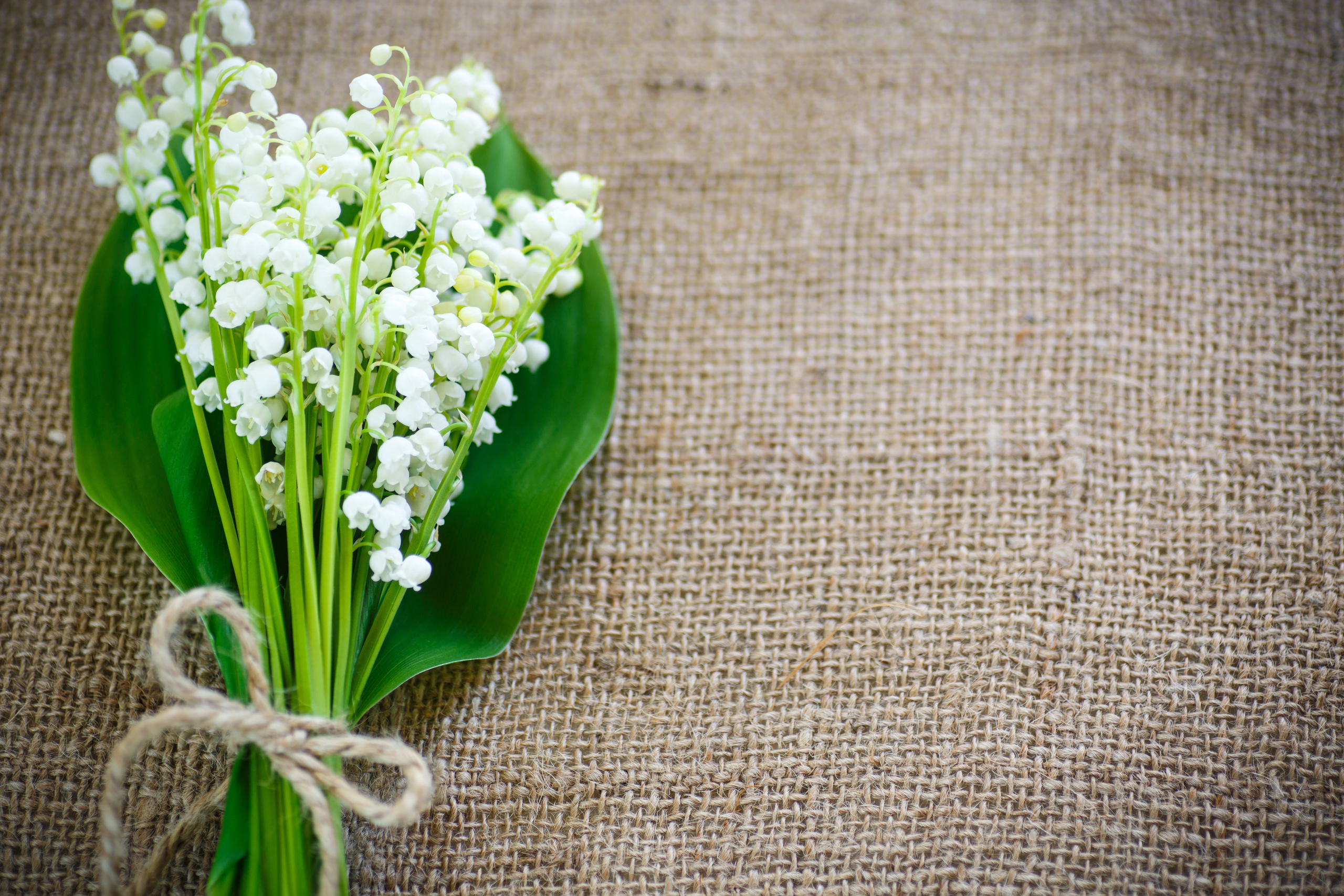 bouquet muguet